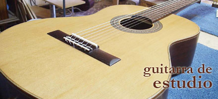 guitarra estudio