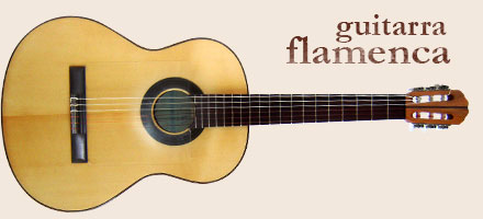 guitarra flamenca